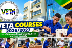 Potential VETA Courses in Tanzania 2026/2027